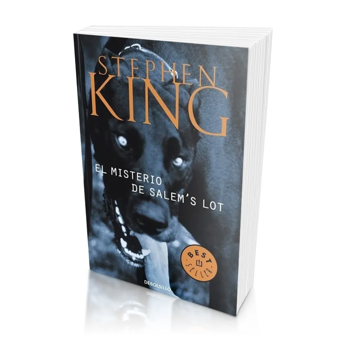 El misterio de Salem´s Lot