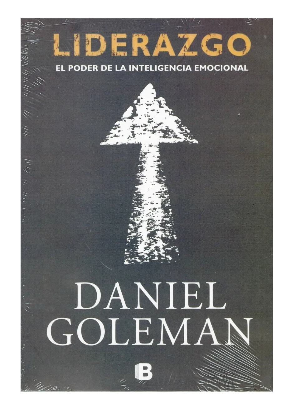 Liderazgo: El poder de la inteligencia emocional