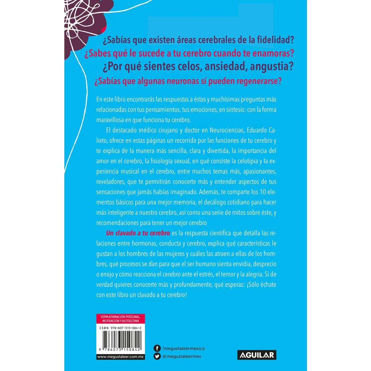 Un clavado a tu cerebro